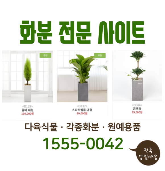 아산 개업화분 전문 배달